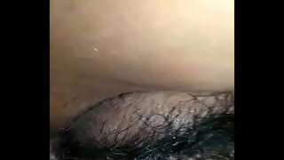 מורנה קסאדה safadinha qr6